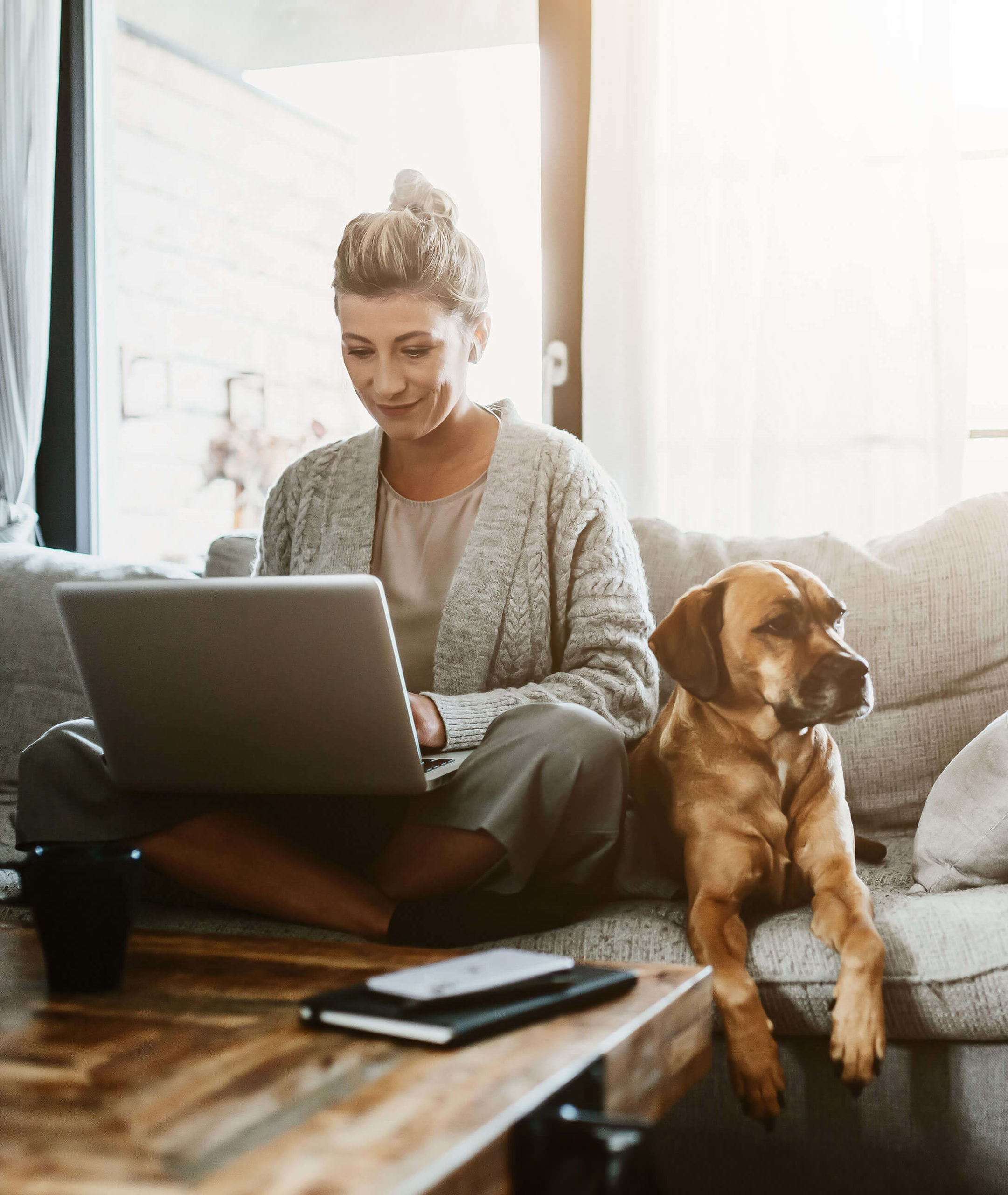 Woman at laptop, sitting on couch with a dog
