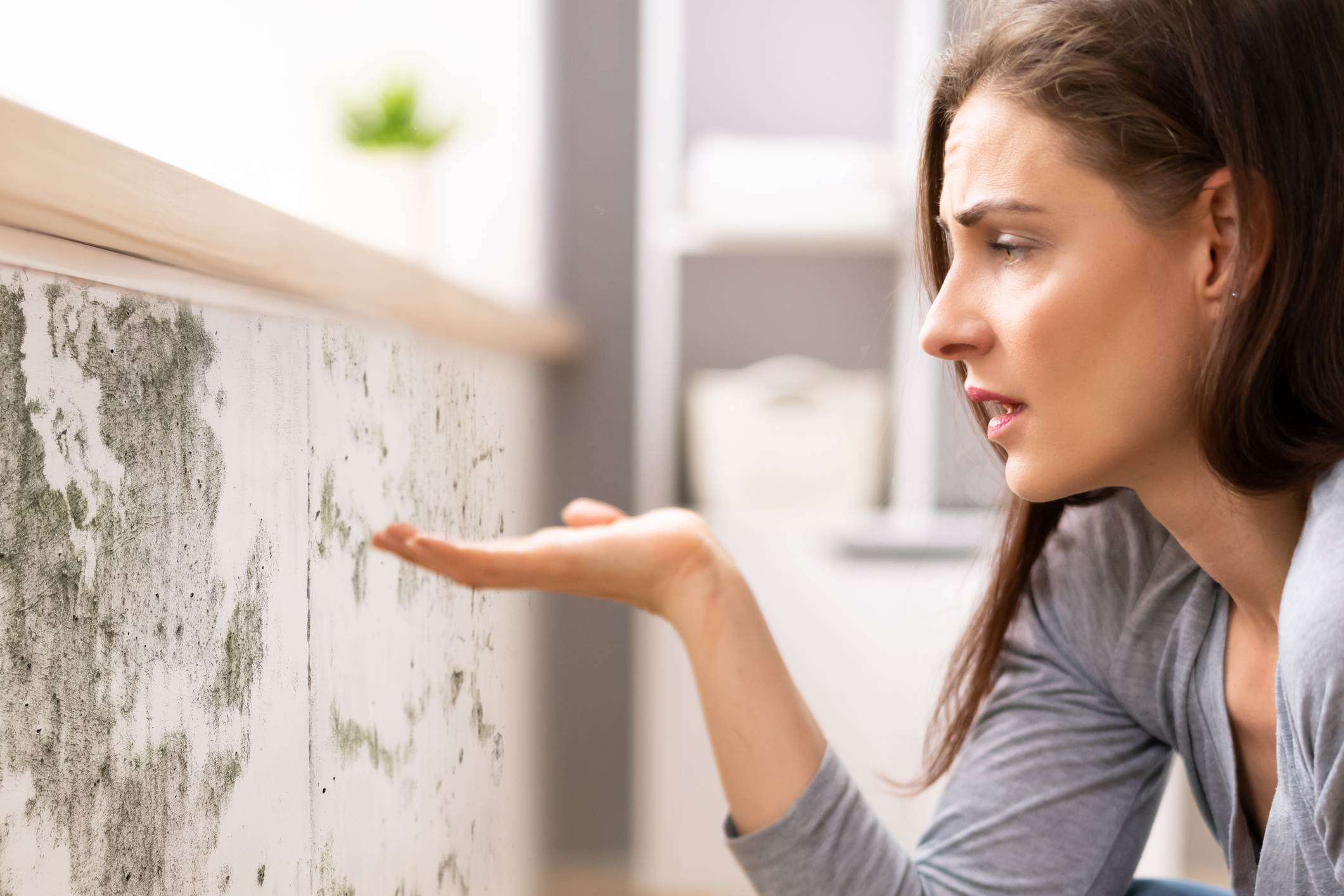 mold can significantly impact your health and well-being