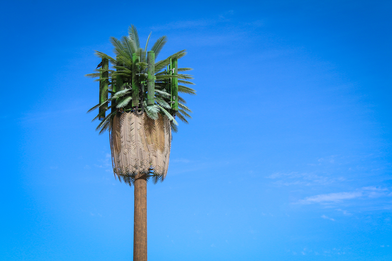 cell tower palm tree 5g